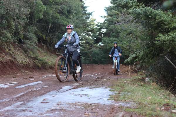 Mountain bike action shot